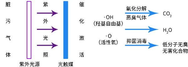 动图封面